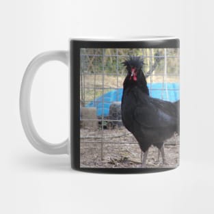 Crevecoeur Chicken Mug